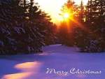 Merry Christmas and a Happy New Year!
Winter from Crater Lake National Park,
Oregon.