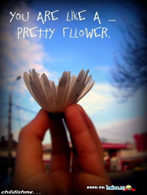 You are like a pretty flower. Esti ca o floare frumoasa.