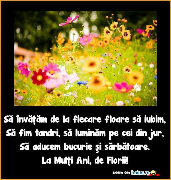 Floriile sa ne dea rabdare sa invatam de la fiecare floare sa iubim, sa fim tandri, sa luminam pe cei din jur, sa aducem bucurie...